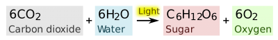 Photosynthesis equation.svg.png