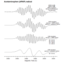 APAP ESR spectra(2).png