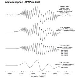 APAP ESR spectra(2).png