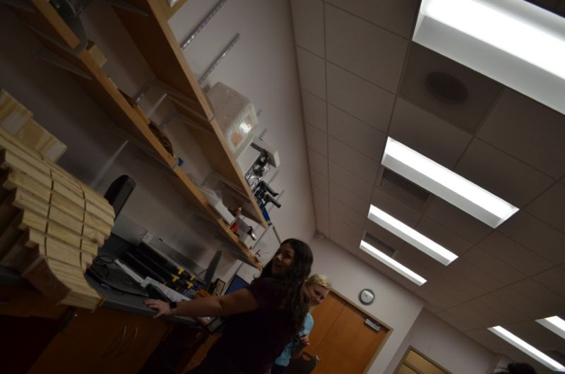 File:SOFIA-Summer-2020 (59).JPG