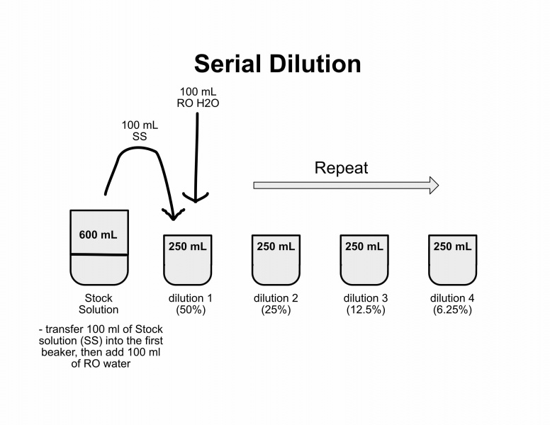 File:Serial dilution.jpg