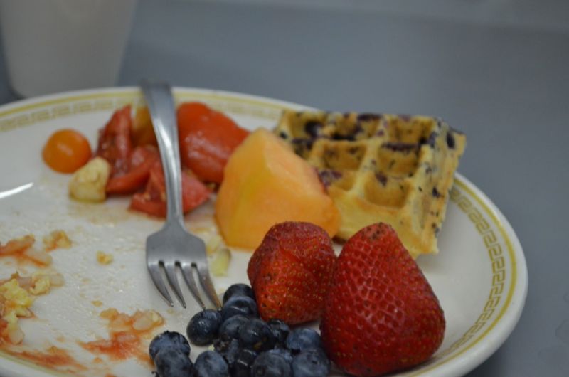 File:SOFIA-Summer-2020 (22).JPG