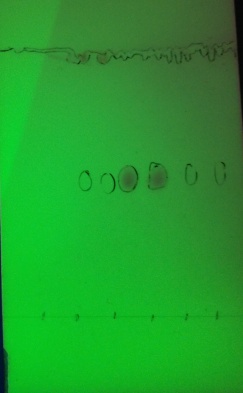 LTC 2 Corrected S.jpg