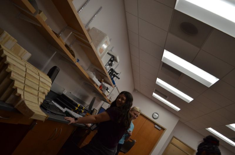 File:SOFIA-Summer-2020 (60).JPG