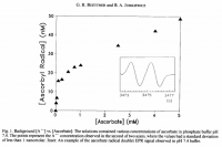 Buettner 1993a Fig1.PNG