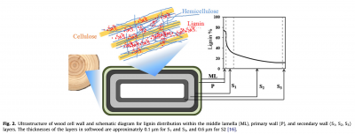 Screen Shot 2020-04-18 at 11.13.35 AM.png