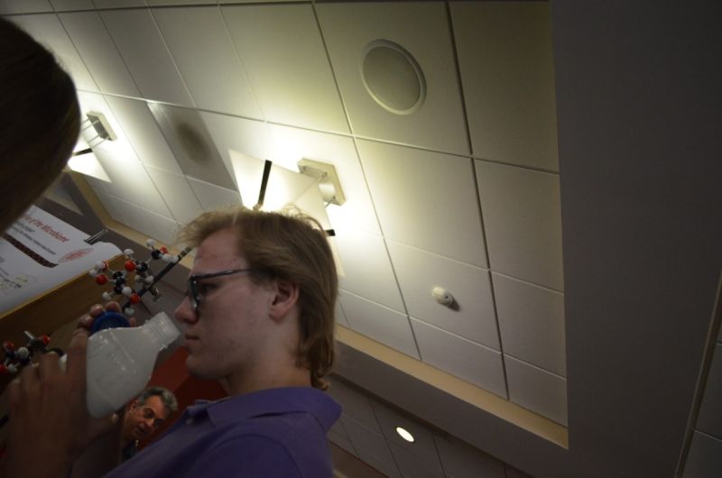 File:SOFIA-Summer-2020 (334).JPG