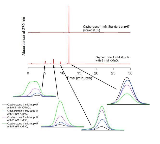 File:Posterpicture research.jpg