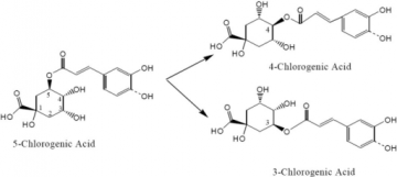 Chlorogenic-acid-two-isomers.png