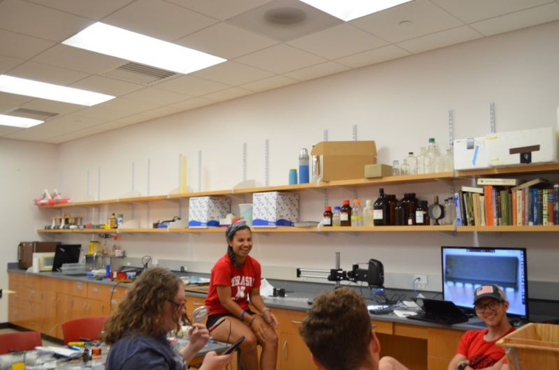 File:SOFIA-Summer-2020 (151).JPG