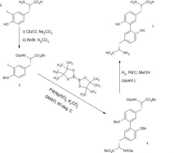 Dityrosine synthesis2.png