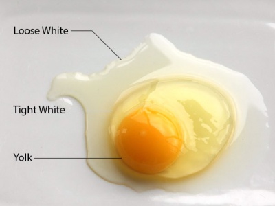 Sous-vide-101-egg.jpg