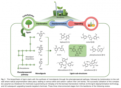 Screen Shot 2020-04-18 at 11.10.24 AM.png