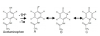 Figure 1: Radial Intermediates