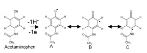 Figure 1: Radial Intermediates