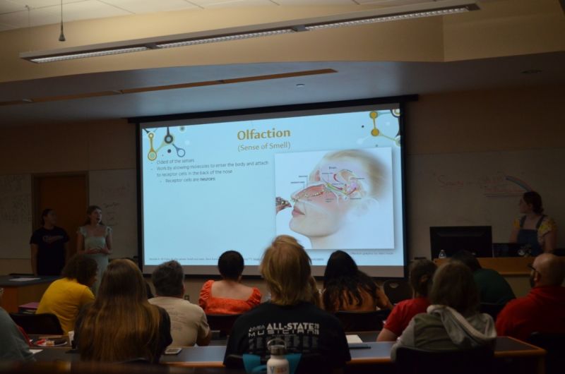 File:SOFIA-Summer-2020 (286).JPG