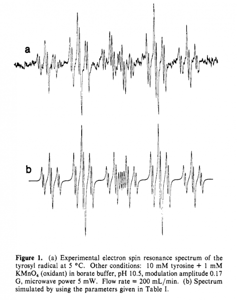 File:Tyrosyl rad KMnO4.png