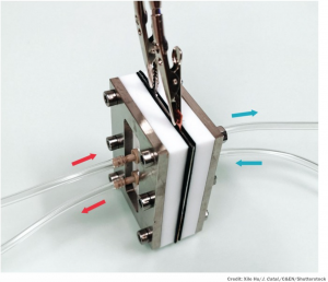 Screen Shot 2020-10-21 at 7.58.17 AM.png