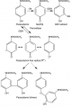 Metabolism-of-paracetamol-by-the-peroxidase-function-of-COX-isoenzymes-and-by.png