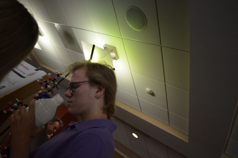 File:SOFIA-Summer-2020 (335).JPG