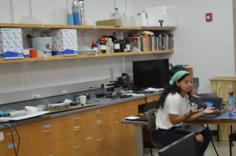 File:SOFIA-Summer-2020 (213).JPG