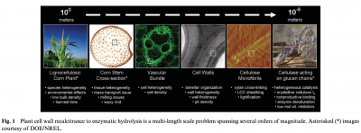 Screen Shot 2020-04-18 at 11.15.48 AM.png