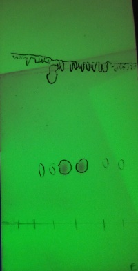 LTC 1 Corrected EC.jpg