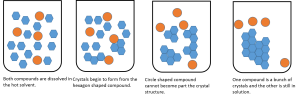 Crystallization Diagram