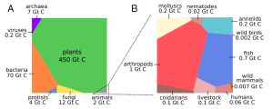 Bacteria biomass.PNG